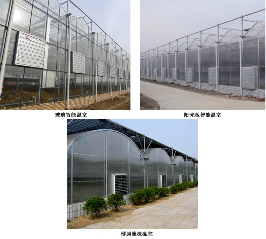 玻璃智能溫室、陽光板智能溫室、薄膜連棟溫室